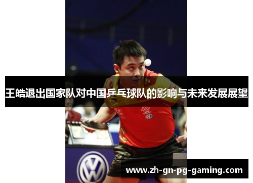 王皓退出国家队对中国乒乓球队的影响与未来发展展望